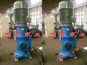 Pompa cu șurub 3GL (verticală)