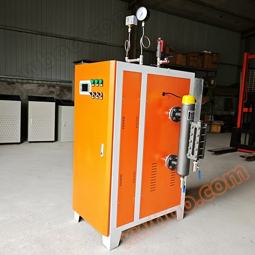 Exemption from inspection of electric steam generator